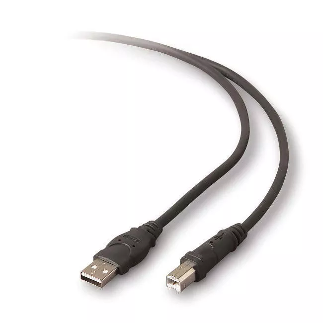 Belkin F3U133-10 USB 2.0 Cable