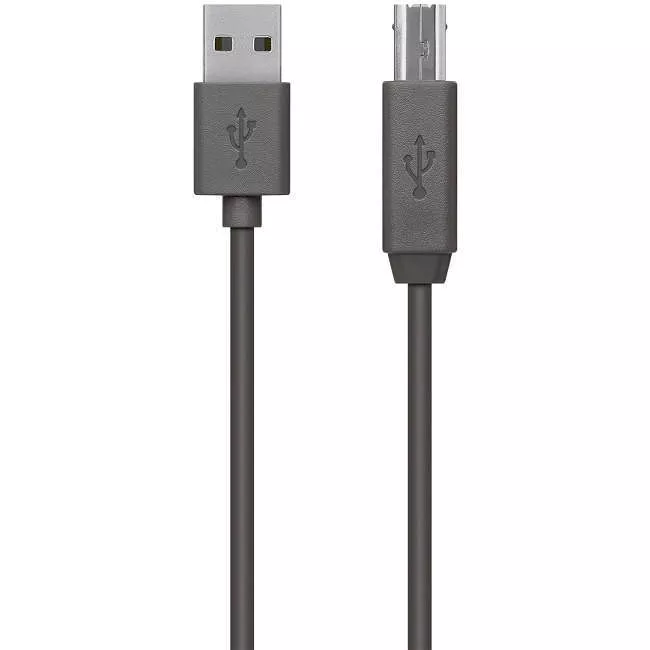 Belkin F3U154BT3M USB Data Transfer Cable - 3 Meter - USB B/USB A
