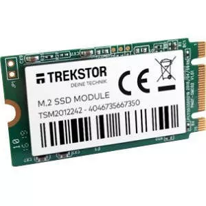 TREKSTOR 66737 SSD - 256 GB - Internal - M.2 2242 - SATA