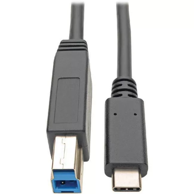 Tripp Lite U422-006 USB C to USB Type B Cable 5 Gbps USB Type C to USB-B M/M 6ft 6'