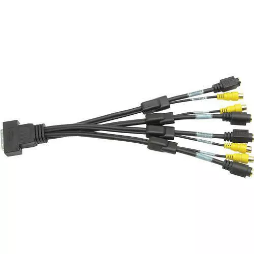 Matrox CAB-KX20-QTVF 1' (0.3m) KX20 to 4 x Composite S-Video TV Adapter Cable