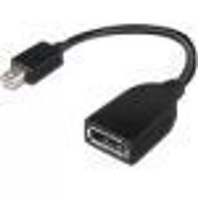 Lenovo 4X90L13971 Mini-DisplayPort to DisplayPort Adapter