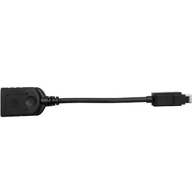 AMD 199-999552 Mini DisplayPort to DP Adapter with Secure Connector (Passive)