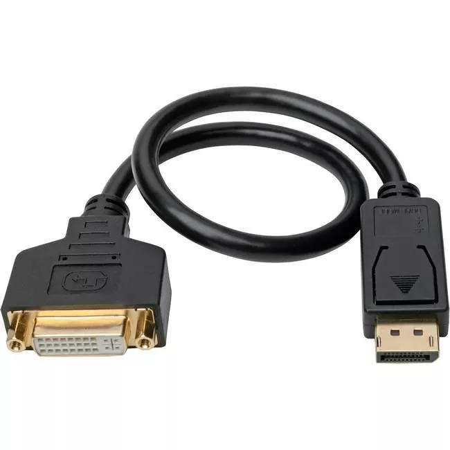 Tripp Lite P134-001-GC Eaton Tripp Lite Series DisplayPort to DVI Adapter Video Converter, Black (M/F), 1 ft. (0.31 m)