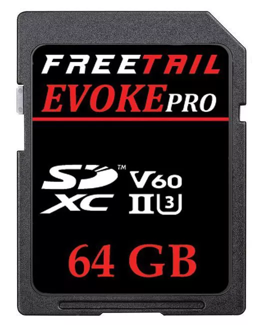 EDGE FTSD064A10 FreeTail Evoke 64GB 1000X UHS-II SD CARD