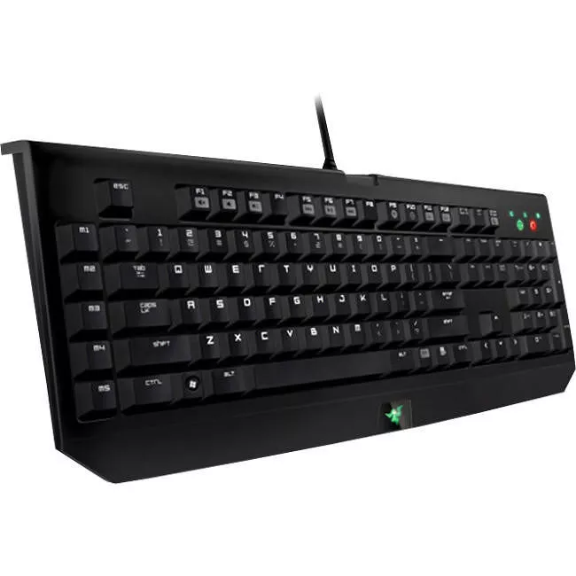 Razer RZ03-00391500-R3U1 BlackWidow Expert Mechanical Gaming Keyboard