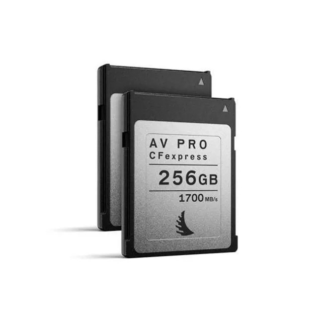 Angelbird MP-R51DX-256CFXX2 Match Pack for Canon EOS R5 | 1DX MK3 256 GB  2 PACK