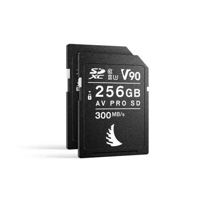 Angelbird MP-R6-256SDV90X2 Match Pack for Canon EOS R6 256 GB V90 | 2 PACK