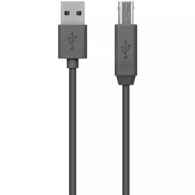 Belkin F3U154BT1.8M USB Data Transfer Cable - 1.8 Meters - USB A / USB B