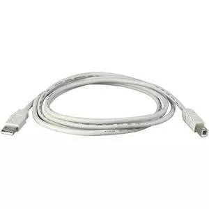 Black Box USB05E-0010 USB 2.0 Extension Cable - Passive - Type A to Type A - M-F - 10 ft