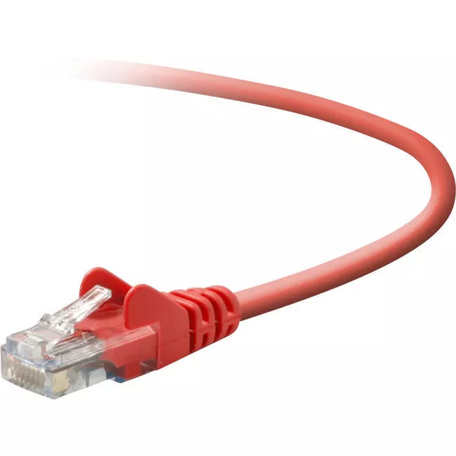 Belkin A3L791B07-RED-S Cat. 5e Patch Cable - 7ft - Red
