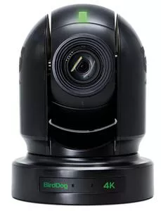BirdDog BDP400B Eyes 10-Bit 20X NDI 4K Camera (Black)